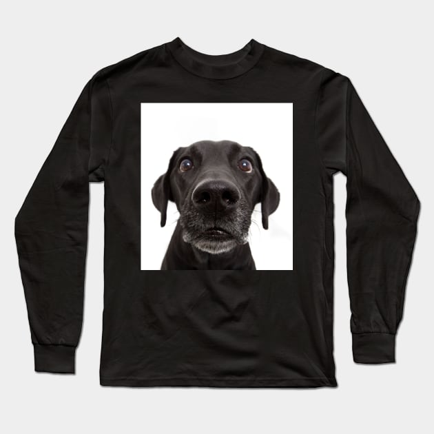 Funny Cute Dog Face Gift Long Sleeve T-Shirt by William Edward Husband